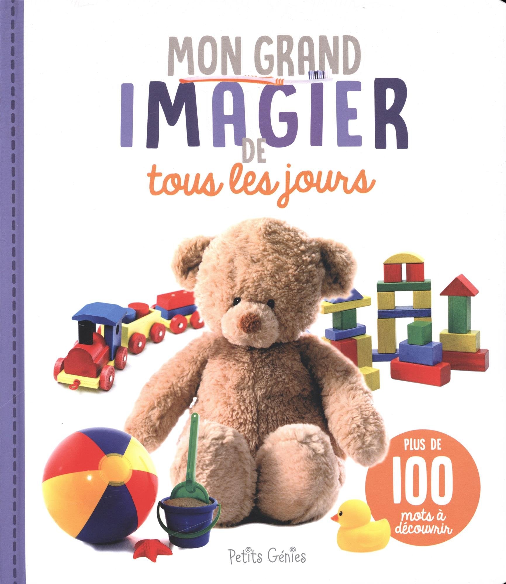 Mon grand imagier de tous les jours: Plus de 100 mots à découvrir book