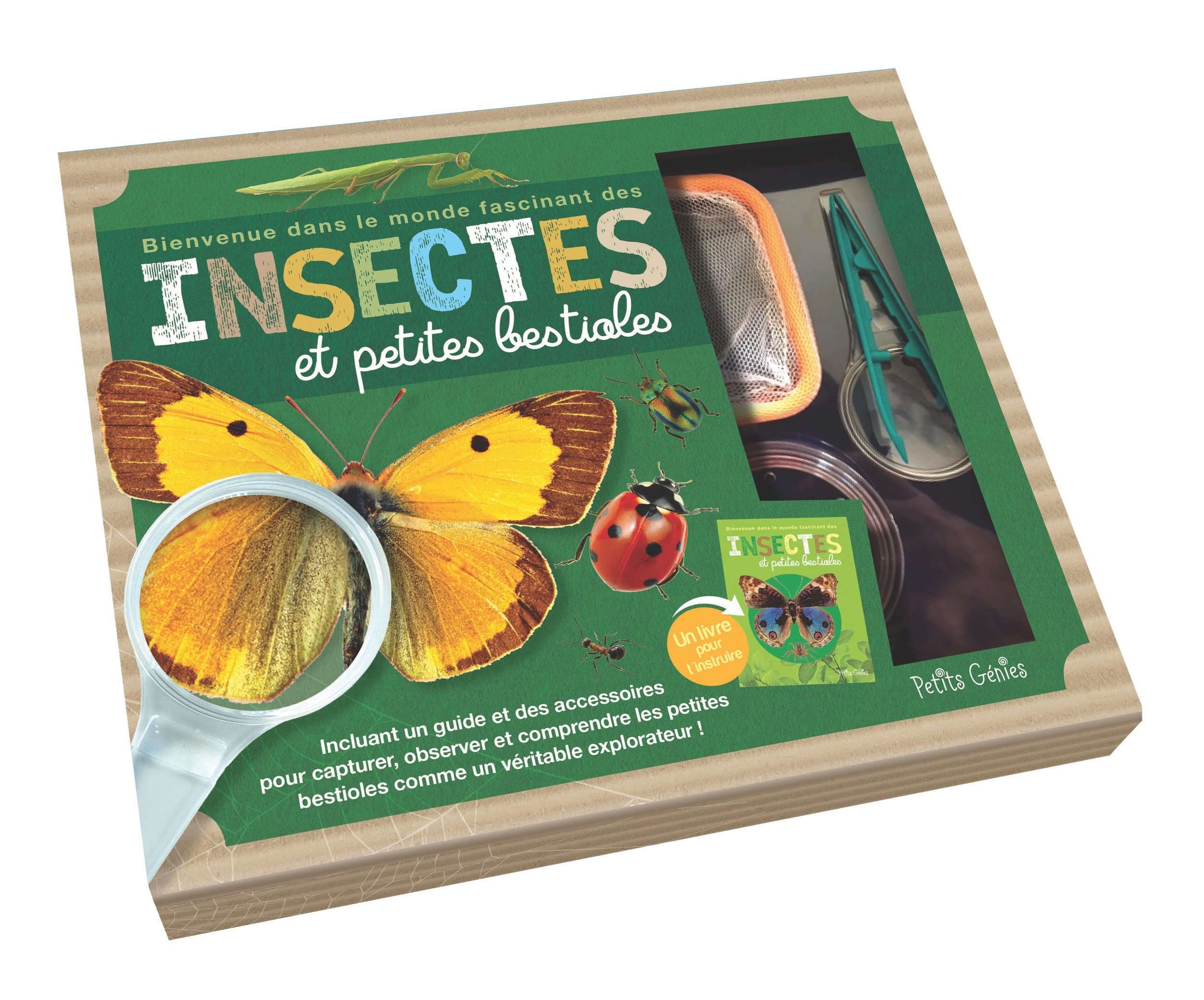 Insectes et petites bestioles (coffret): Bienvenue dans le monde fascinant des insectes book