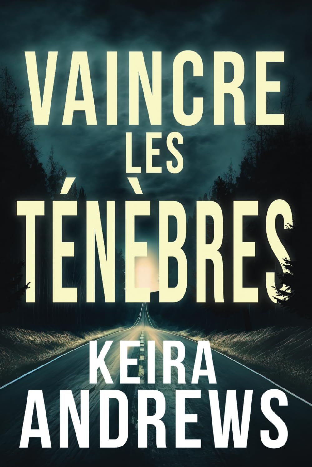 Vaincre les Ténèbres: MM Romance LGBTQ+