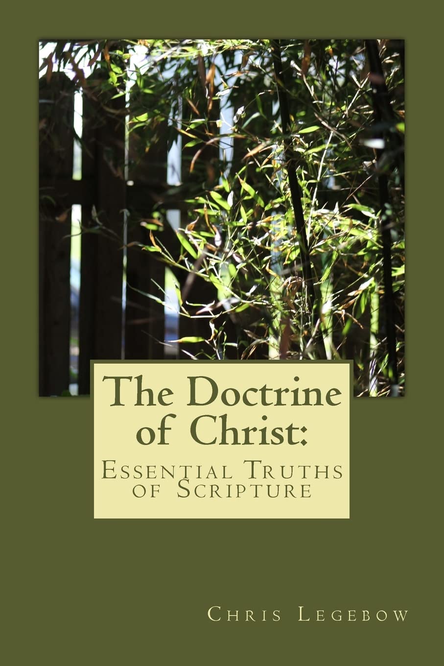 The Doctrine of Christ:: Essential Truths of Scripture Social Sciences