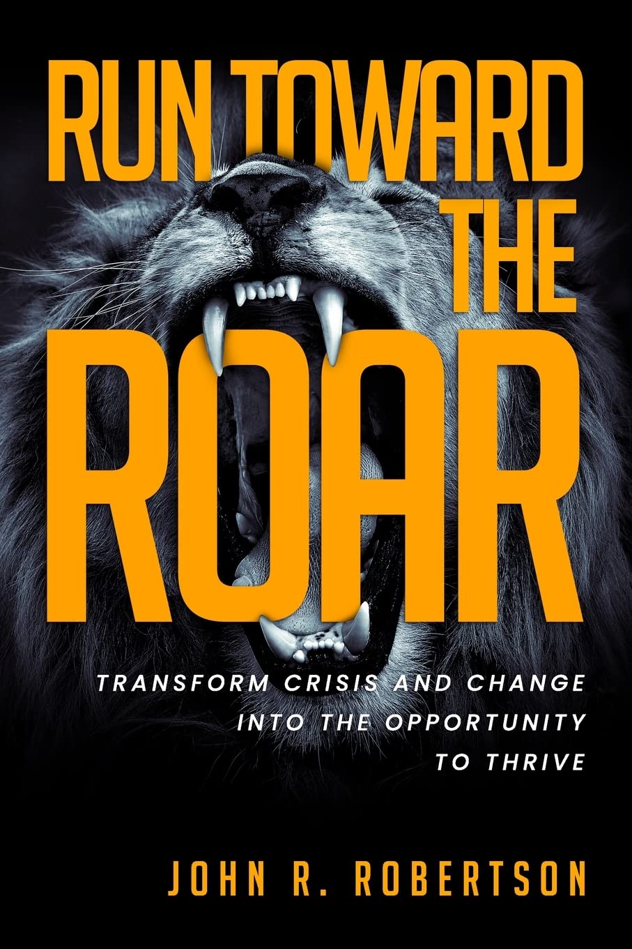 Run Toward the Roar: Transform Crisis and Change into the Opportunity to Thrive Business, Finance & Career