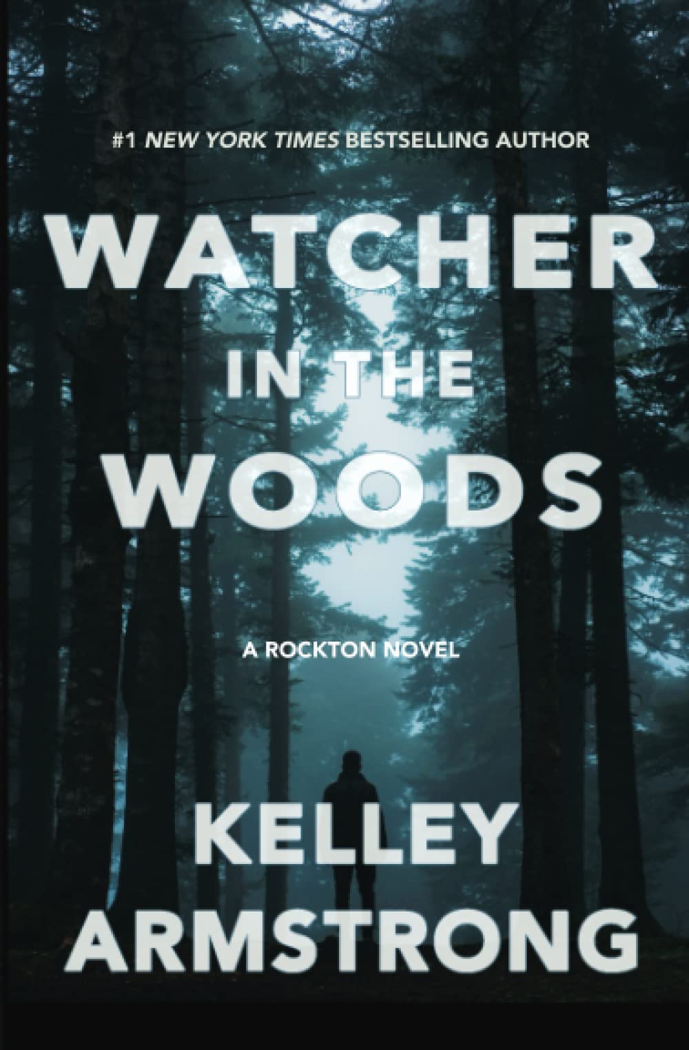 Watcher in the Woods (Rockton, Band 4) Detective & CSI