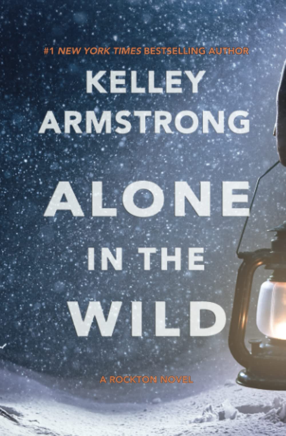 Alone in the Wild (Rockton, Band 5) Detective & CSI