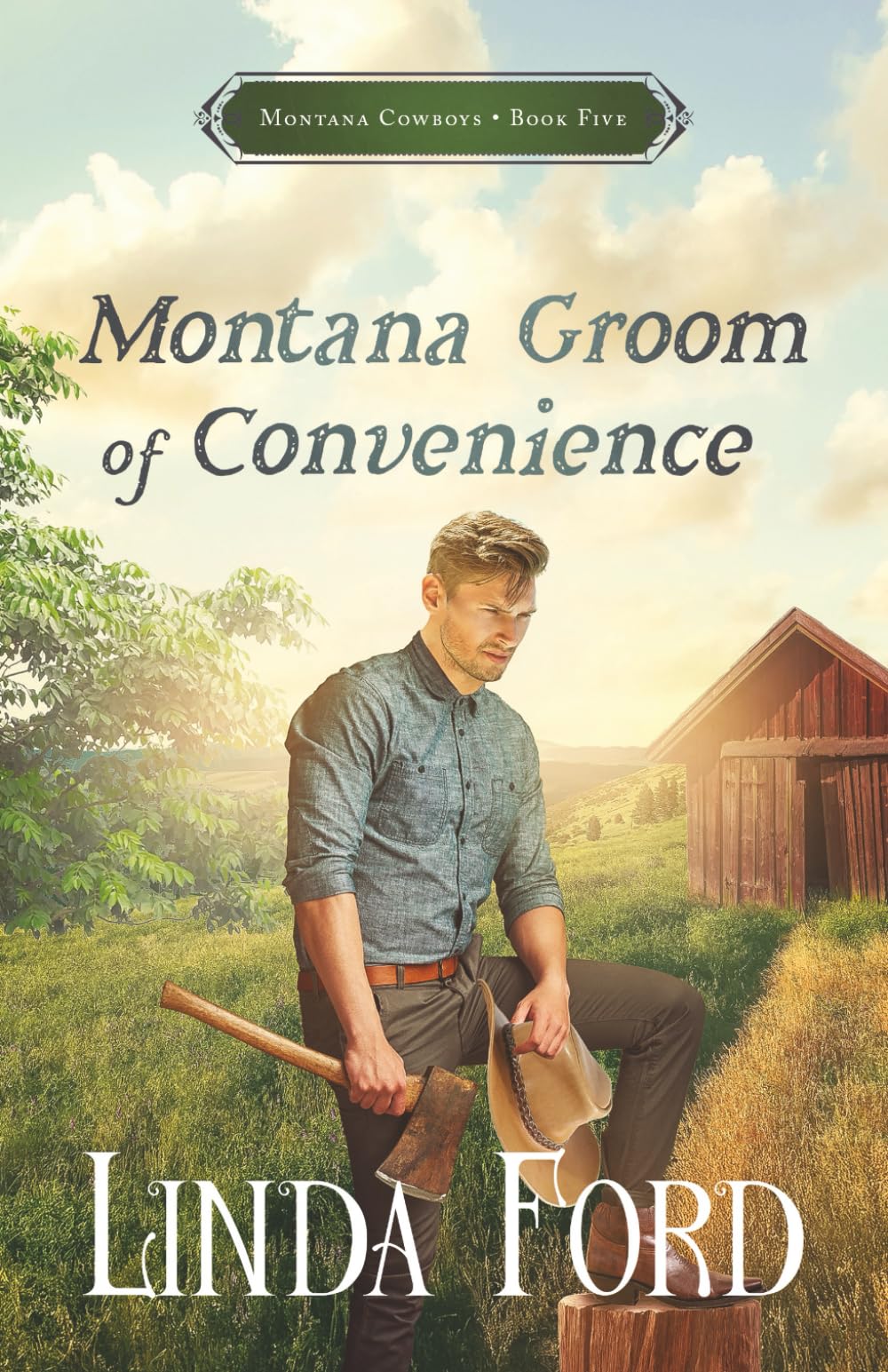 Montana Groom of Convenience (Montana Cowboys, Band 5) Contemporary literature Books