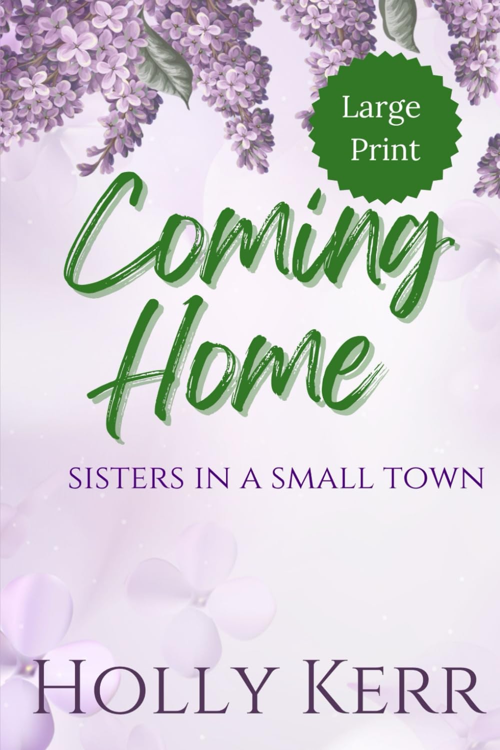 Coming Home - Large Print: Sisters in a Small Town Contemporary literature