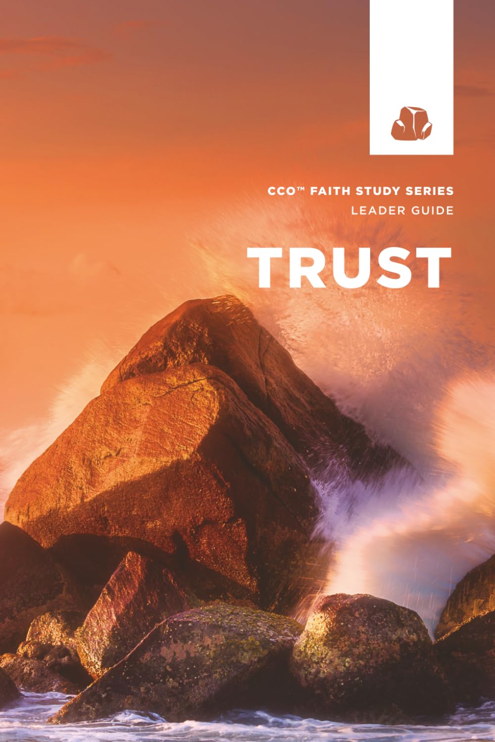 CCO Trust Faith Study: Leader Guide (Faith Studies - Leader Guide, Band 4) Books