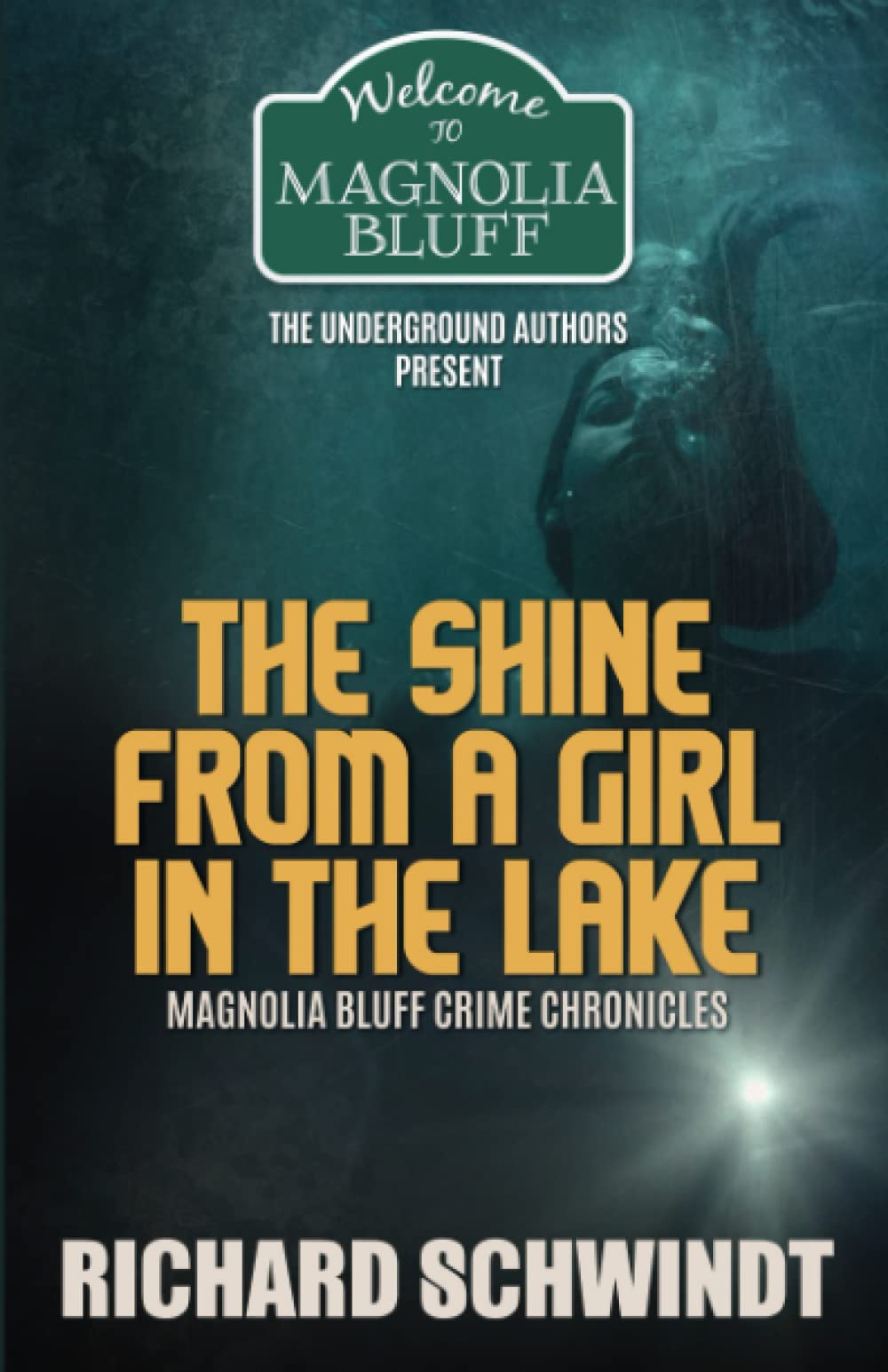 The Shine from a Girl in the Lake: Magnolia Bluff Crime Chronicles Contemporary literature