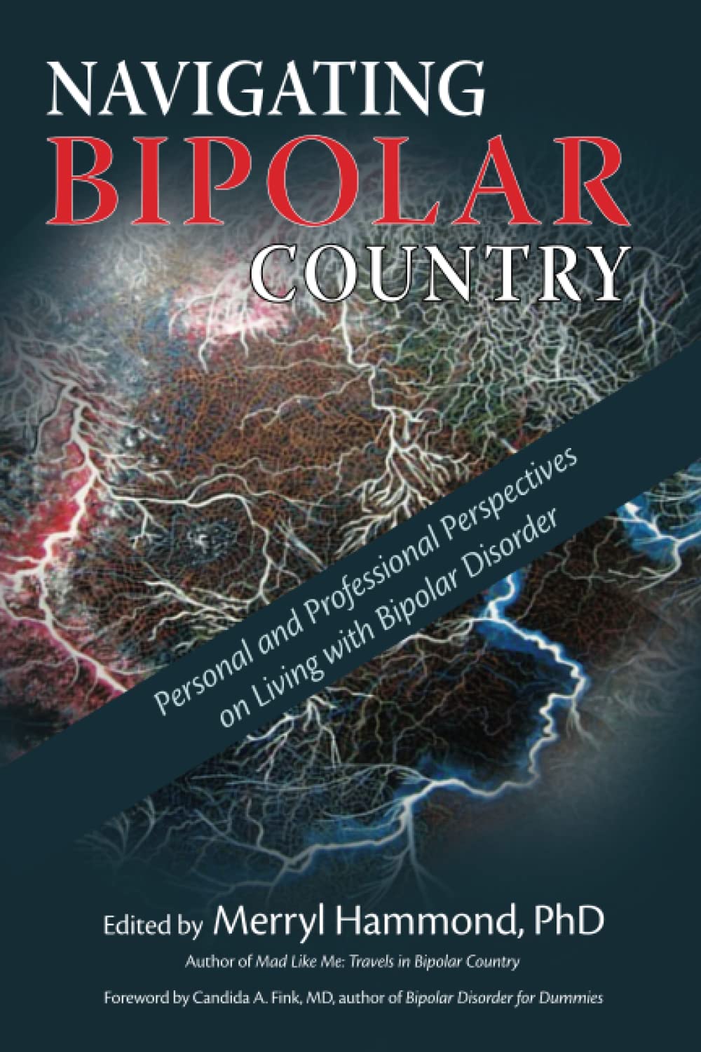 Navigating Bipolar Country: Personal and Professional Perspectives on Living with Bipolar Disorder Books