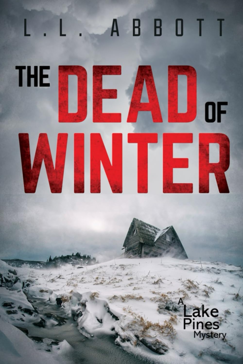 The Dead Of Winter: A Lake Pines Mystery (A Lake Pines Murder Mystery Series, Band 4) Detective & CSI