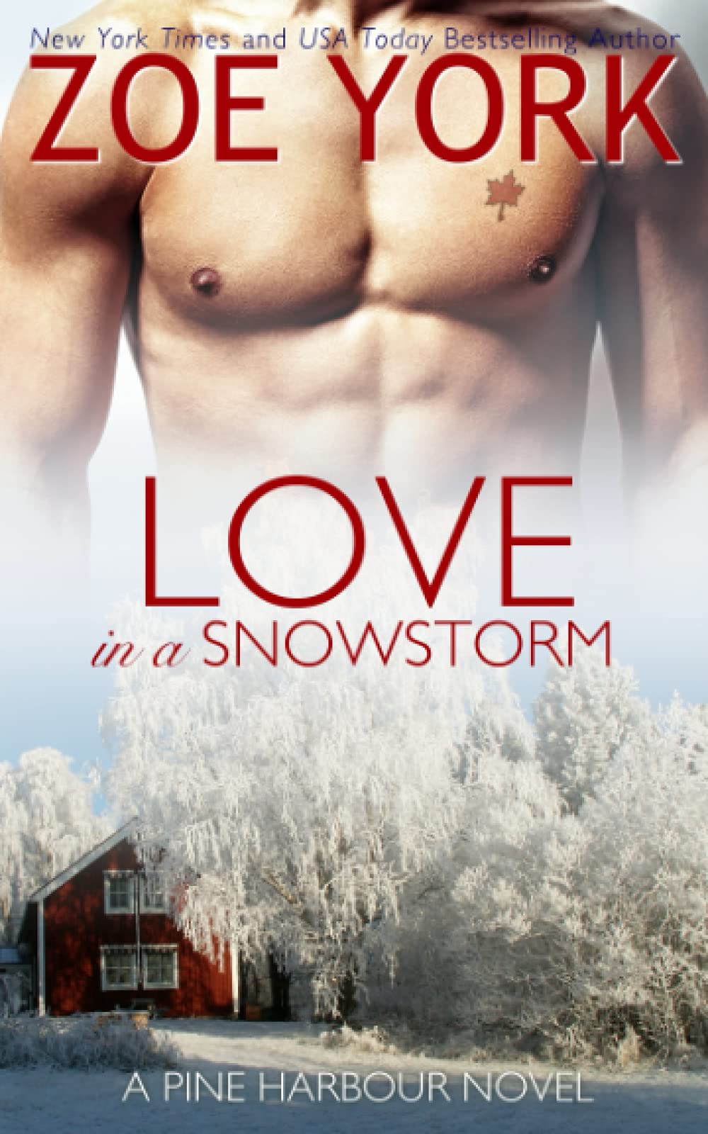 Love in a Snowstorm (Pine Harbour, Band 2) Contemporary literature