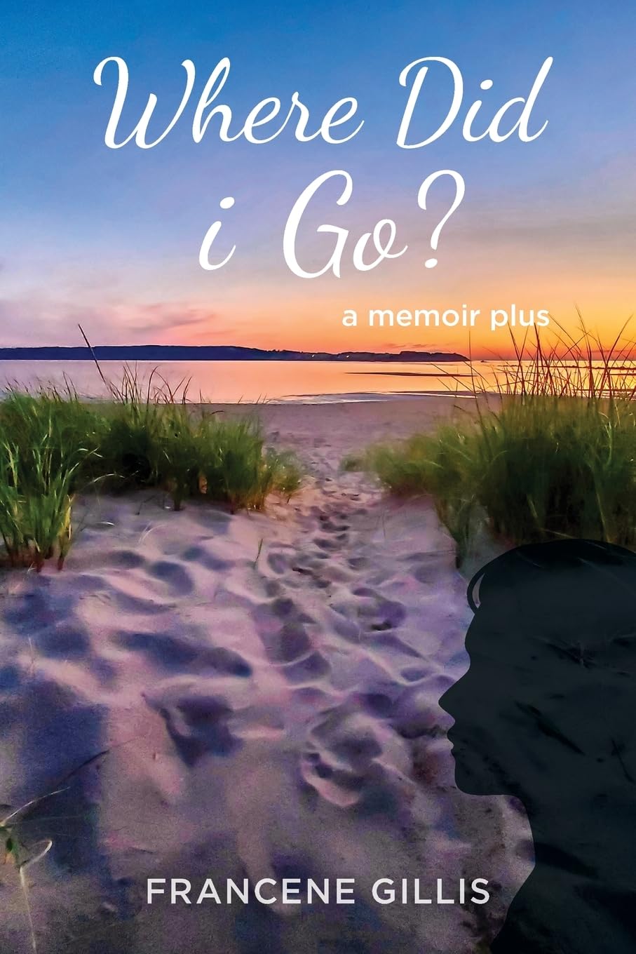 Product Image: Where Did i Go? a Memoir Plus
