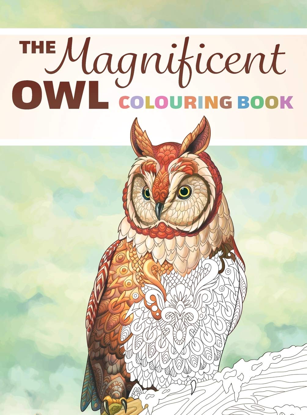 The Magnificent Owl Colouring Book Mathematics