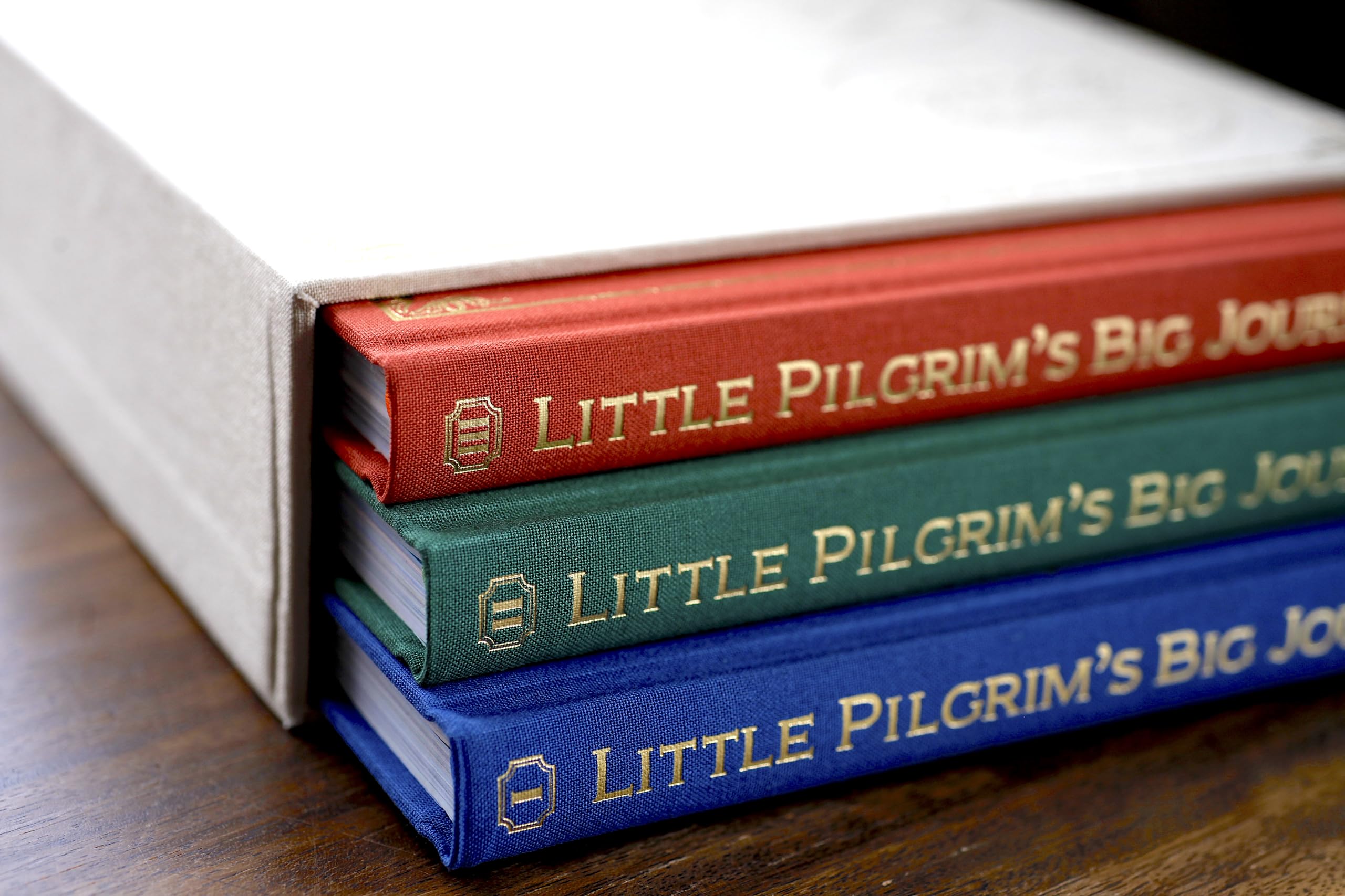 Little Pilgrim's Big Journey: The Complete Box Set (Part I, II, and III of John Bunyan's Pilgrim's Progress for Kids) Books