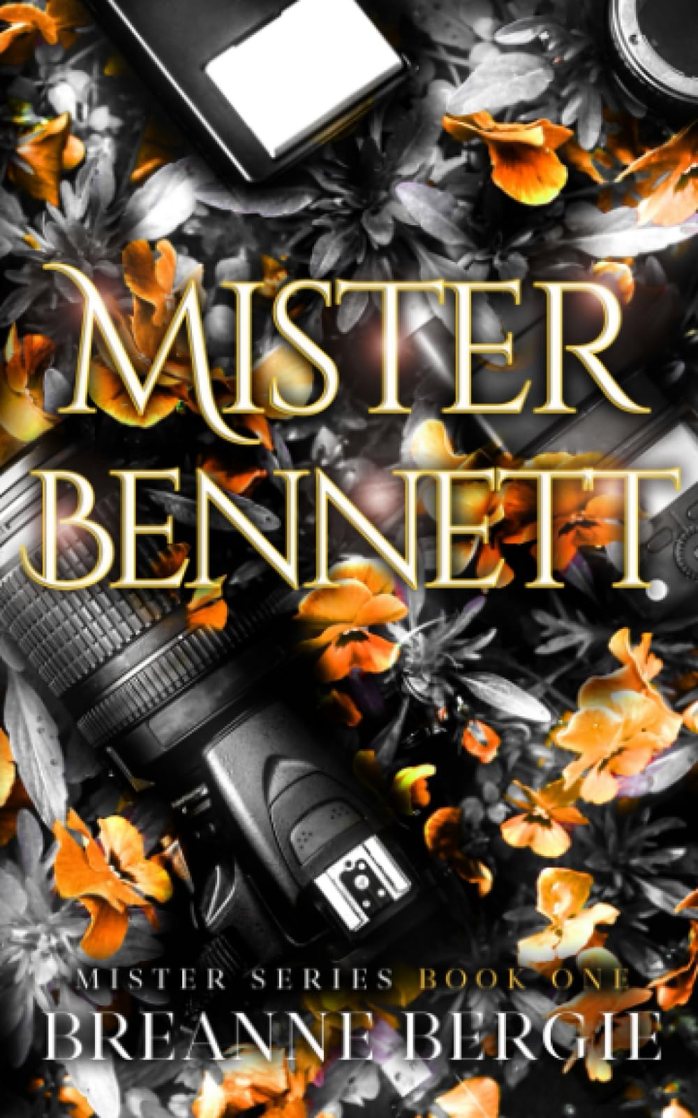 Mister Bennett: A Secret Baby Billionaire Romance (Mister Series Book 1) book