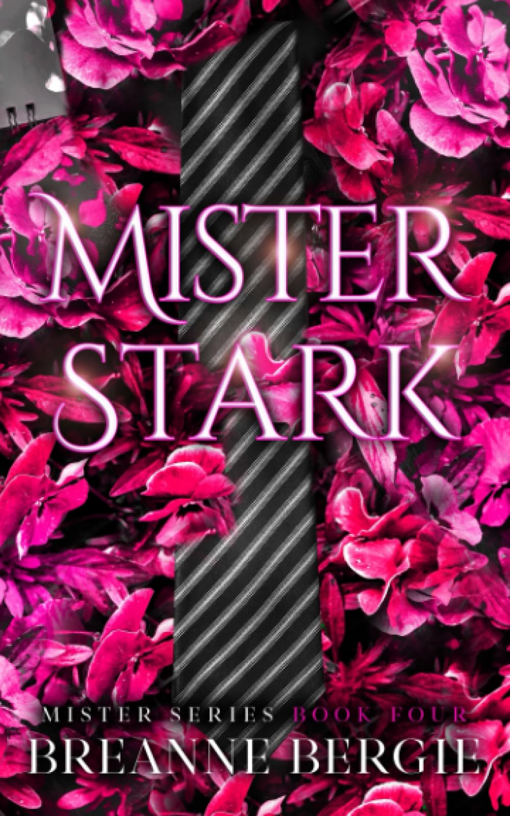 Mister Stark: A Billionaire Age Gap Enemies to Lovers Pregnancy Romance (Mister Series Book 4) Contemporary literature