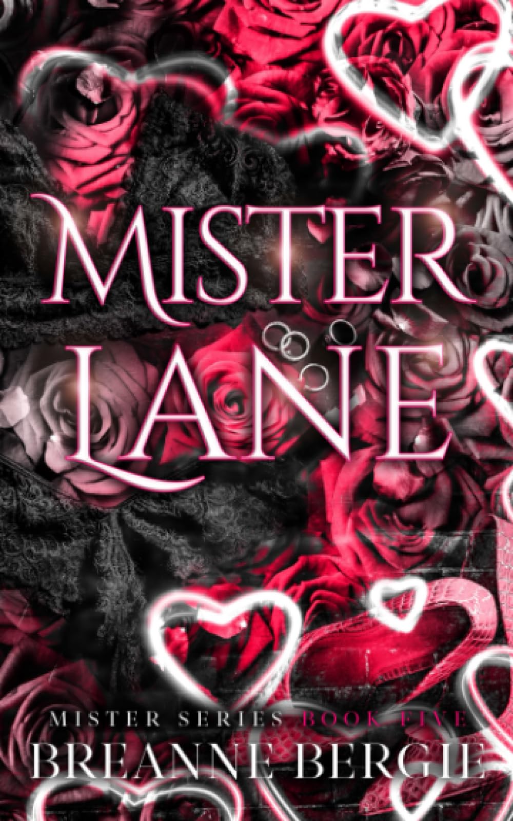 Mister Lane: A Secret Baby Billionaire Romance book