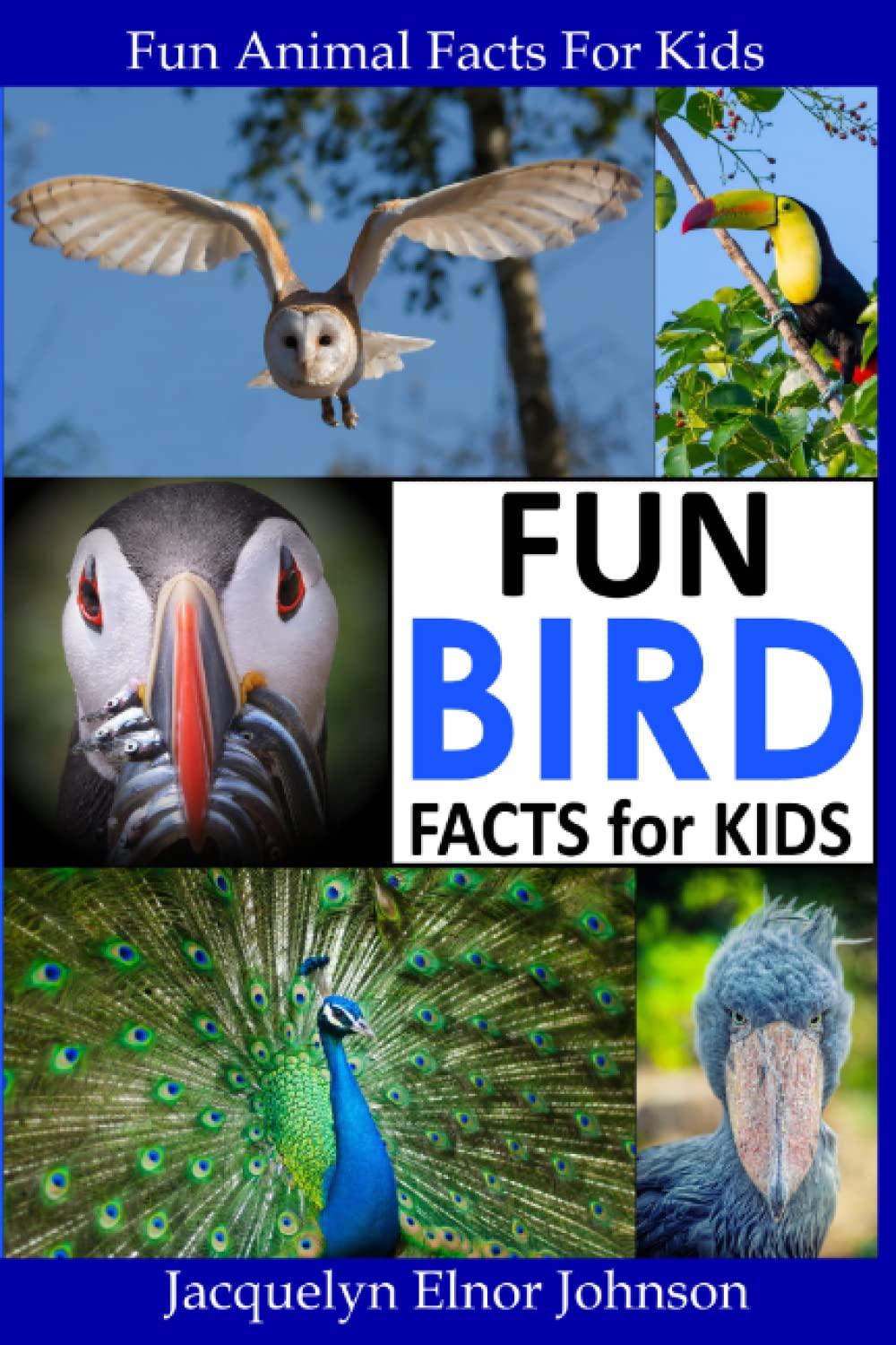 Fun Bird Facts for Kids (Fun Animal Facts for Kids) Mathematics