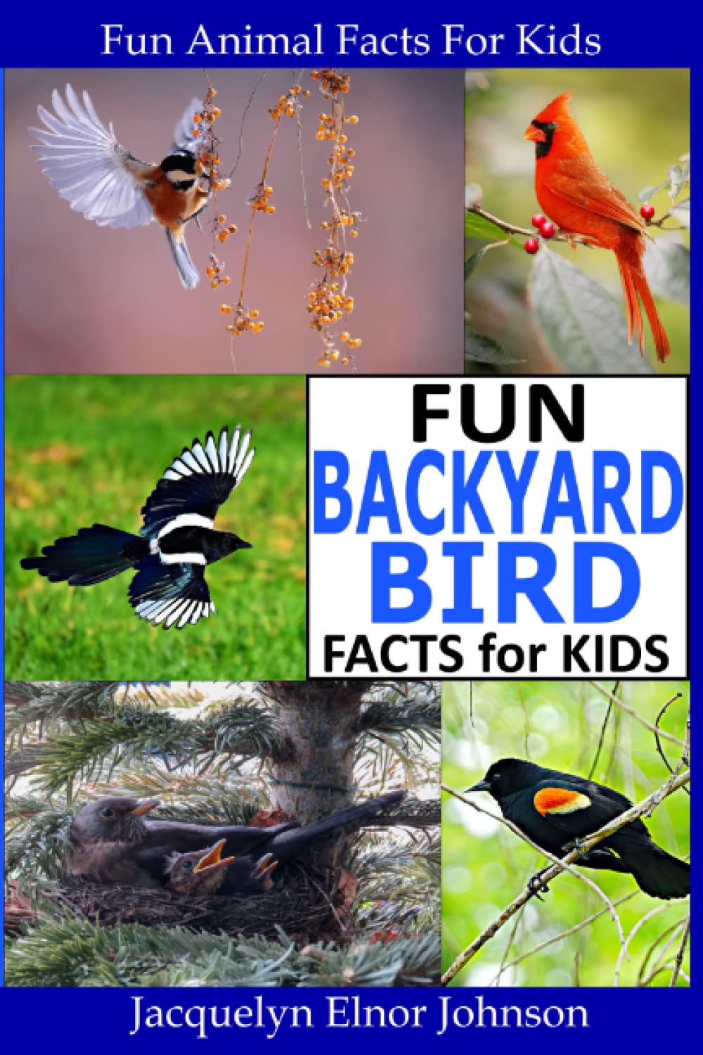 Fun Backyard Bird Facts for Kids (Fun Animal Facts for Kids) Mathematics