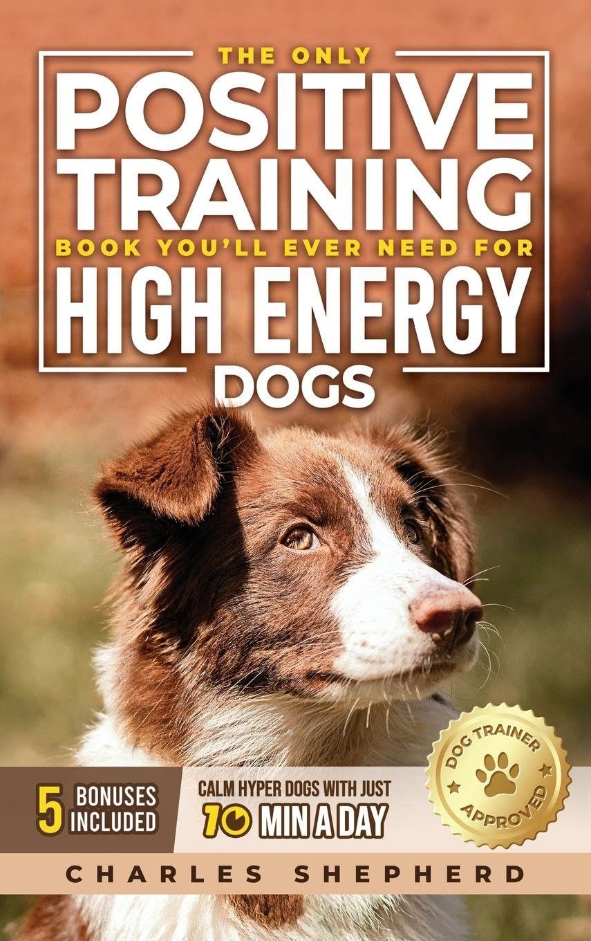 The Only Positive Training Book You'll Ever Need for High-Energy Dogs Pets
