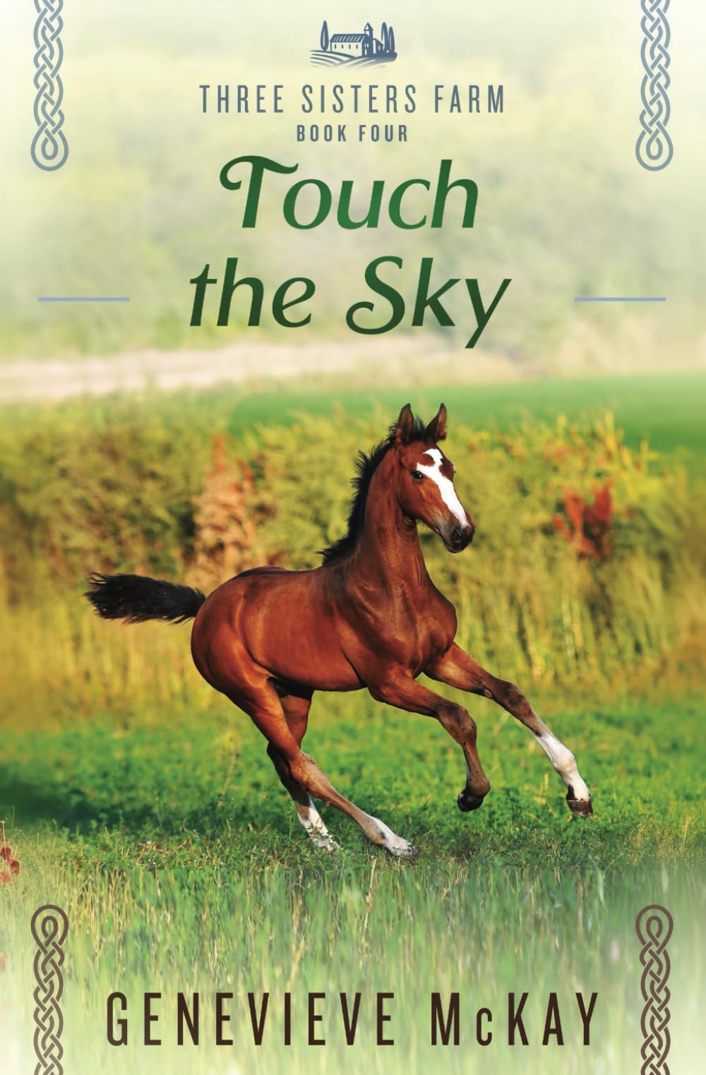 Touch The Sky (Three Sisters Farm, Band 4) Leisure & Fun
