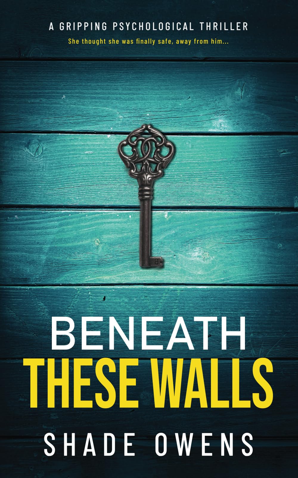 Beneath These Walls: A gripping psychological thriller Contemporary literature