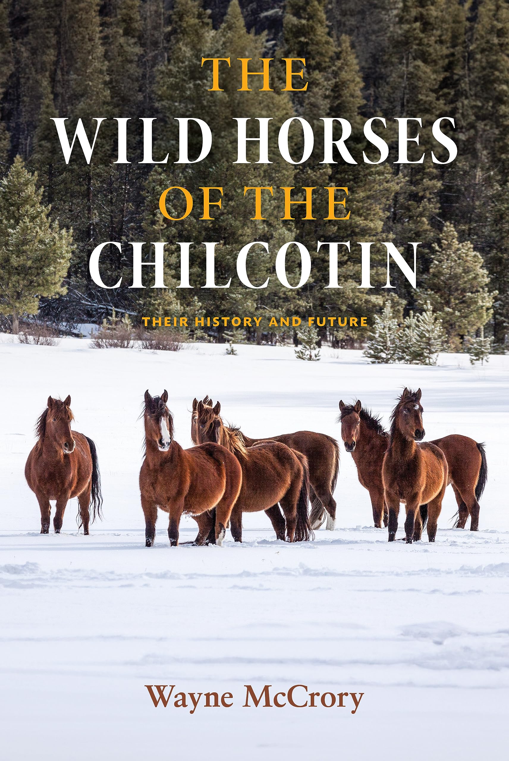 The Wild Horses of the Chilcotin: Their History and Future Mathematics