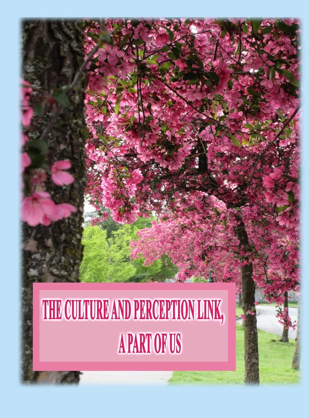 The Culture and Perception Link: A Part of Us Psychology