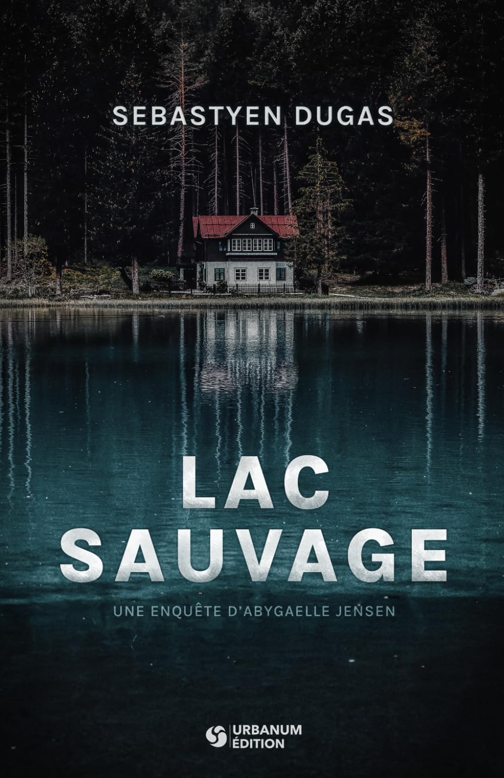 Lac Sauvage (Abygaelle Jensen, Band 2) Contemporary literature