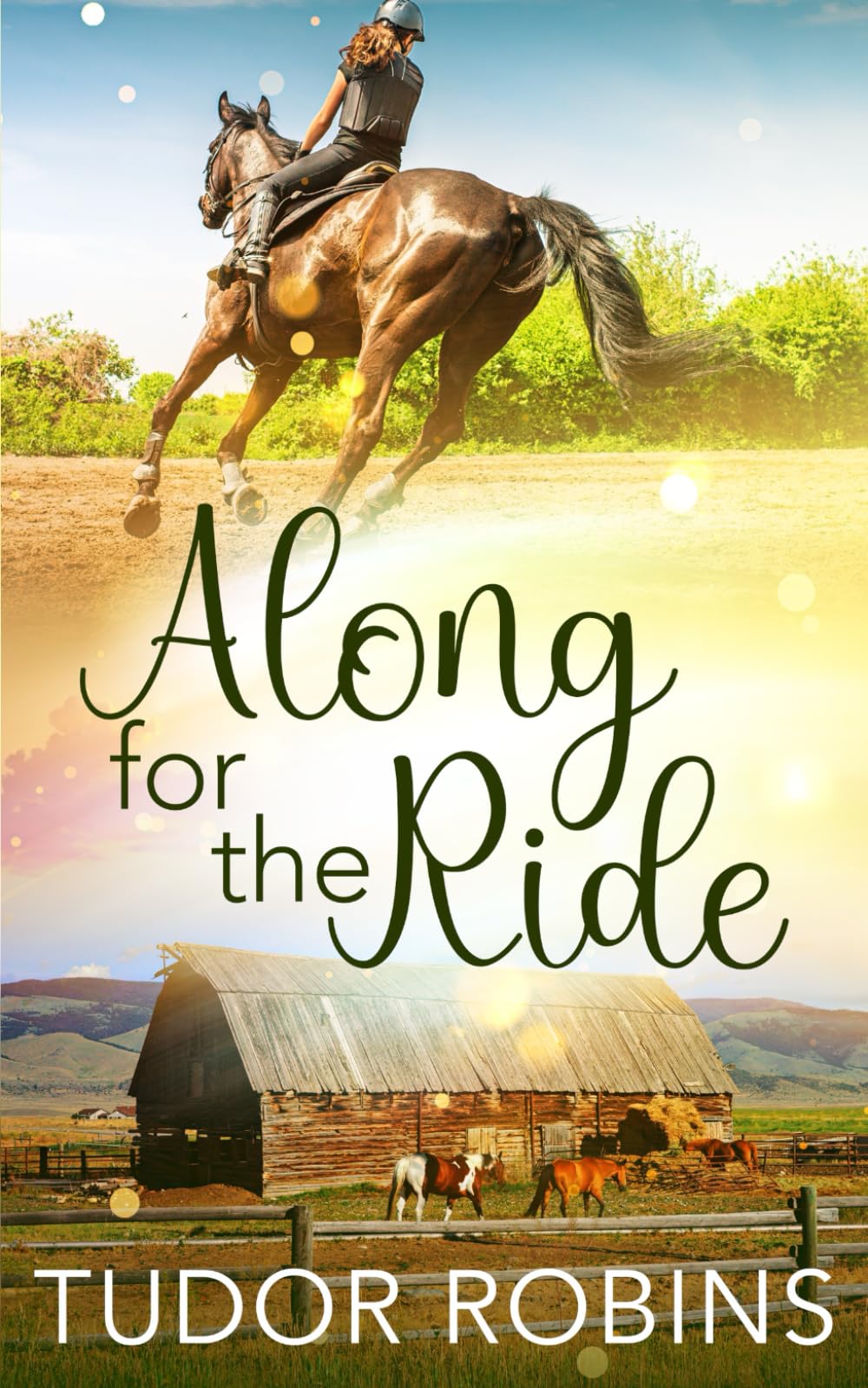 Product Image: Along for the Ride
