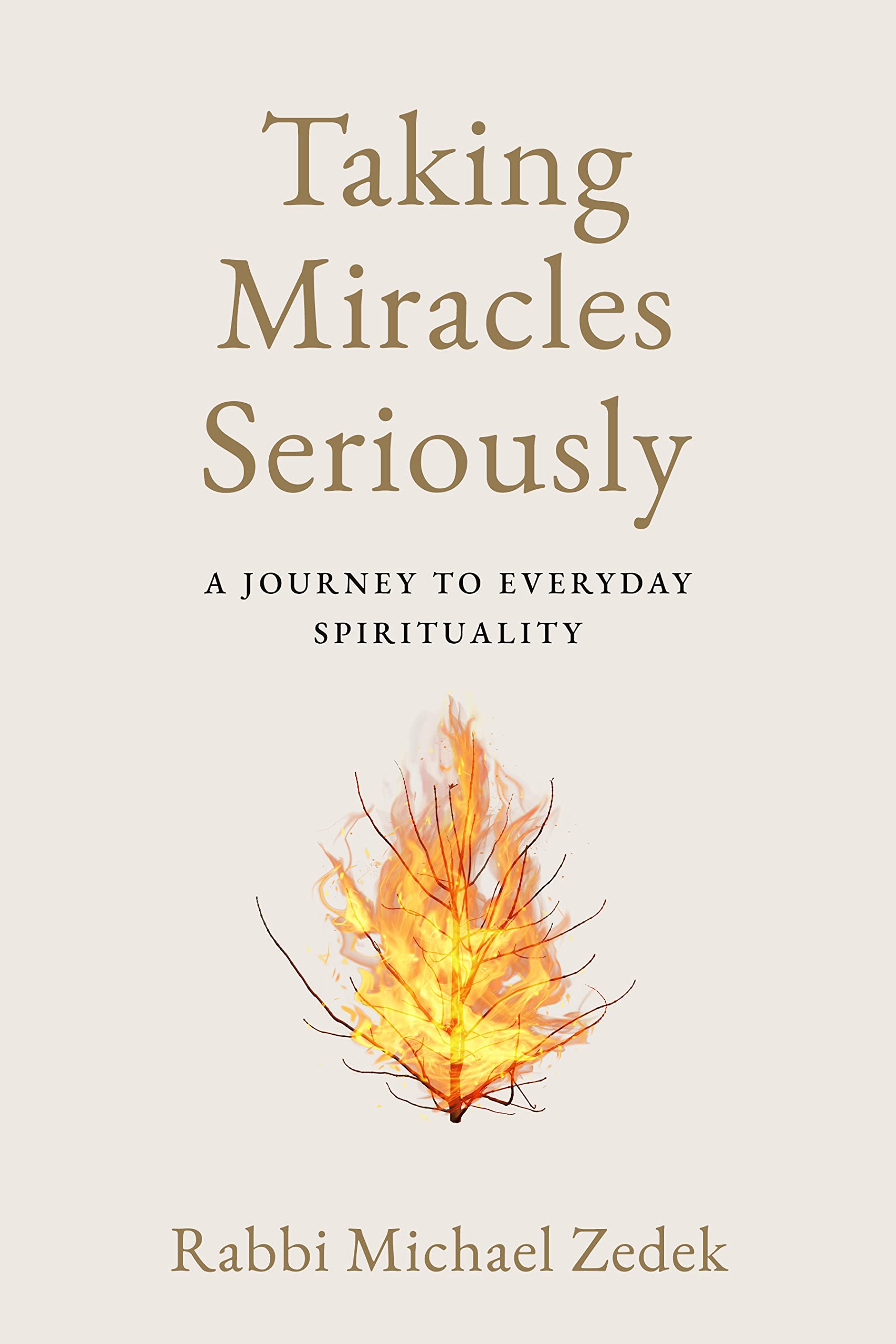 Taking Miracles Seriously: A Journey to Everyday Spirituality Religion & Esotericism