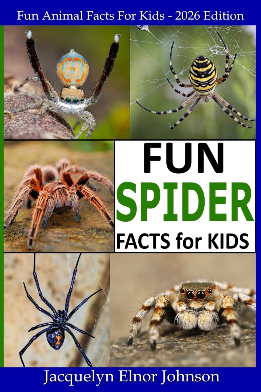 Product Image: Fun Spider Facts For Kids