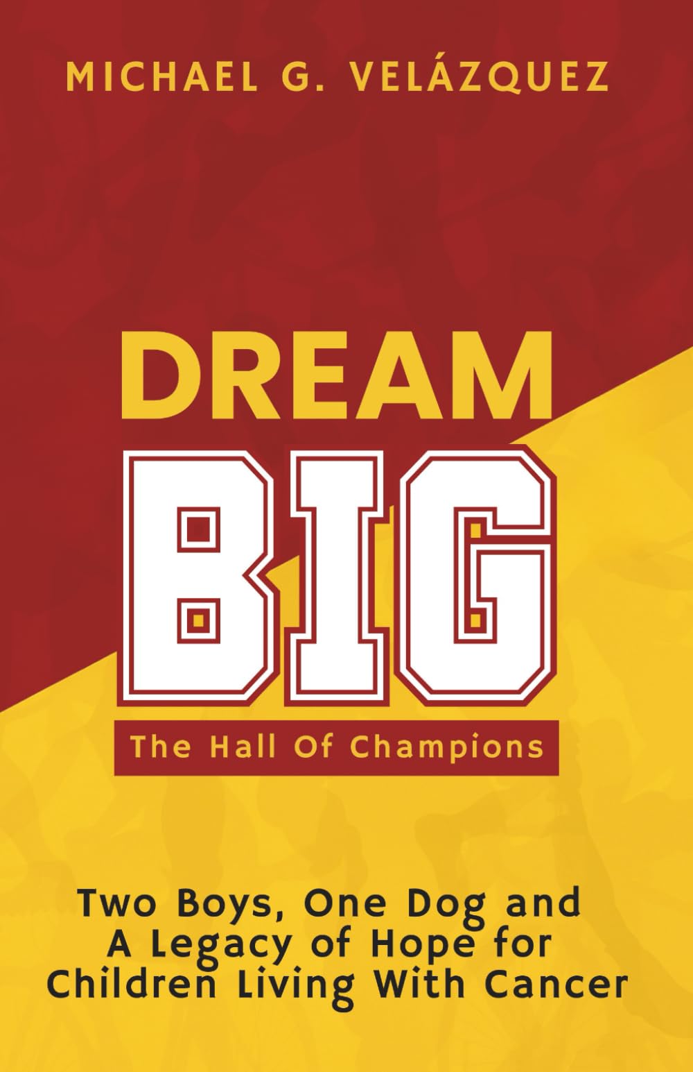 DREAM BIG The Hall Of Champions Books