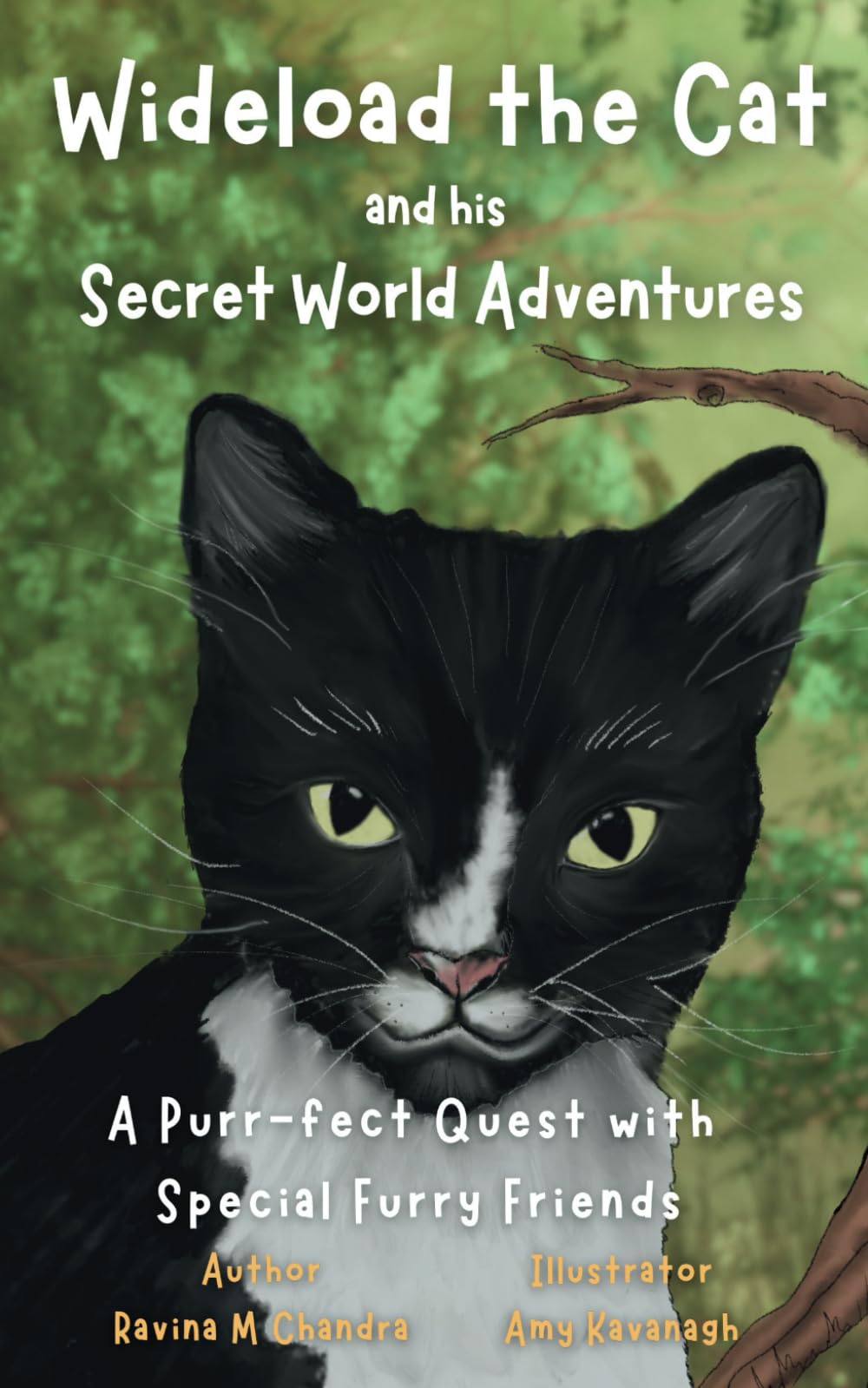 Wideload the Cat and His Secret World Adventures: A Purr-fect Quest with Special Furry Friends – Discover the Mysteries of the Neighborhood Non-fiction