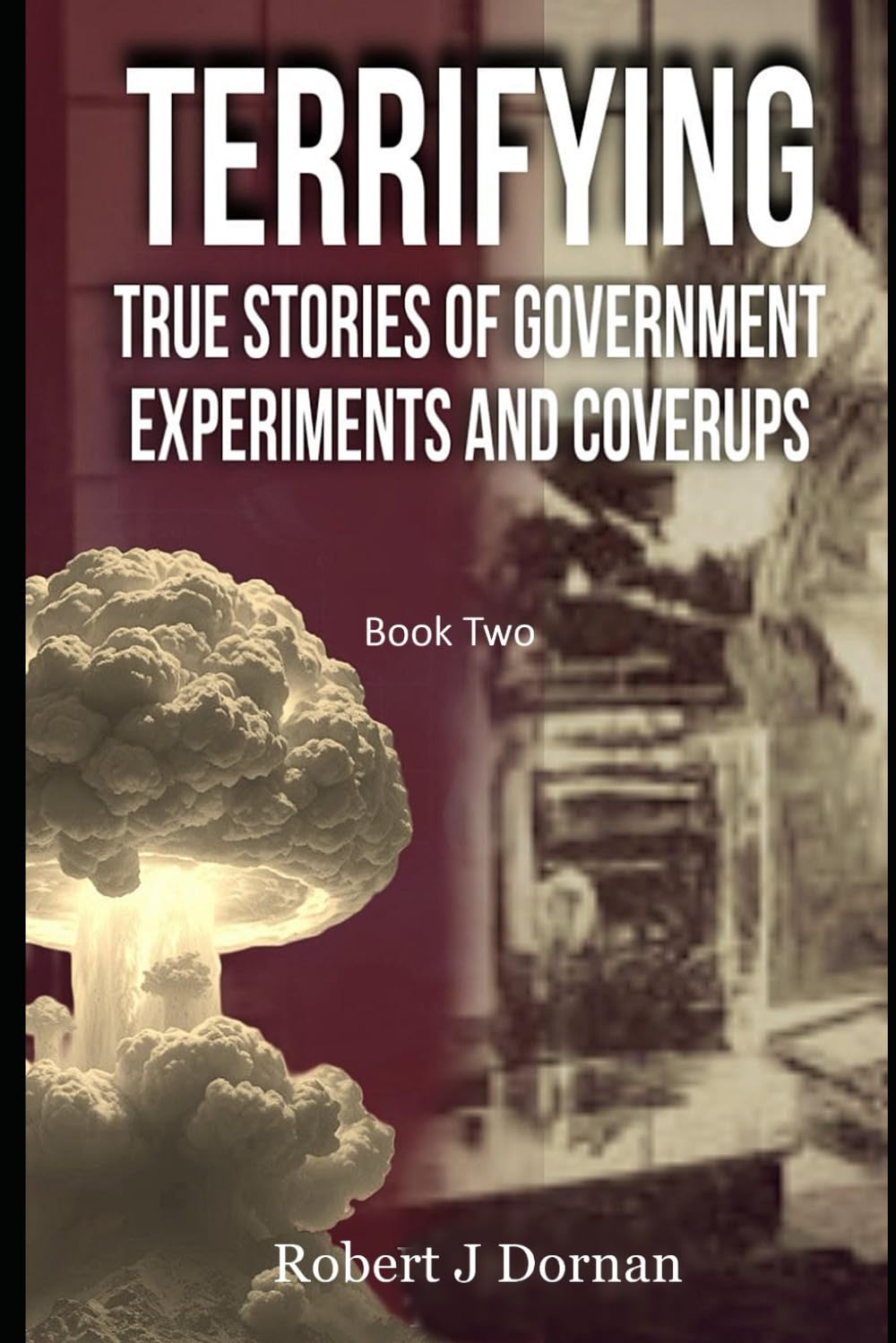 Terrifying True Stories of Government Experiments and Coverups: Book Two (Politics and Humanity, Band 2) Business & Technology