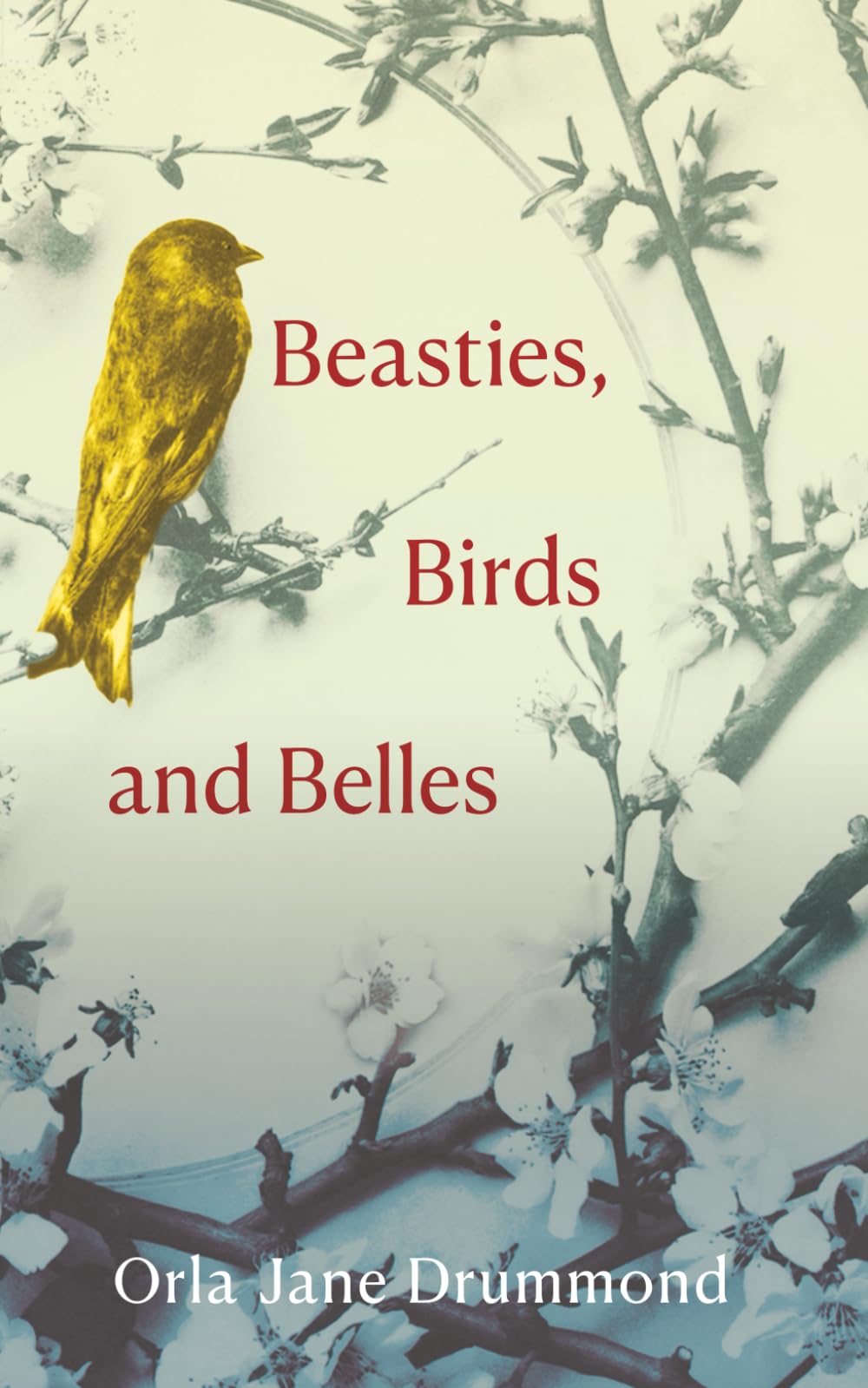 Beasties, Birds and Belles Poetry