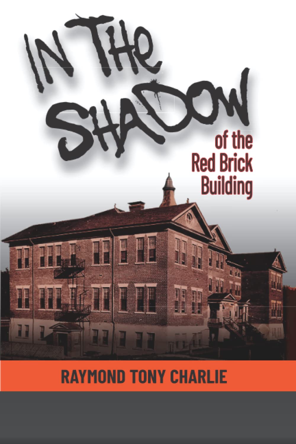In The Shadow Of The Red Brick Building Social Sciences