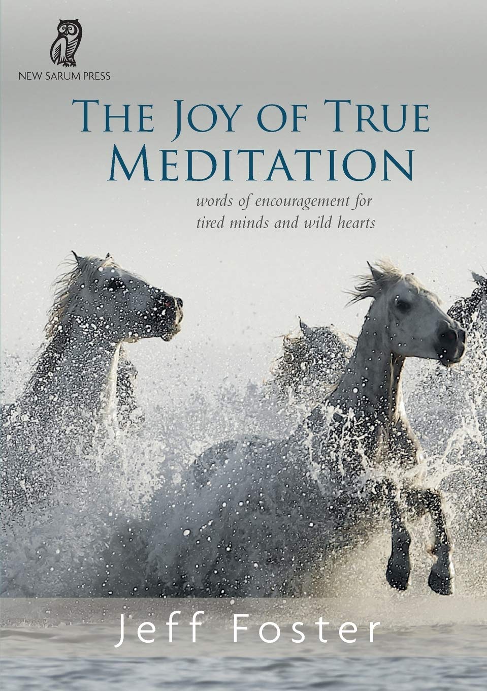 The Joy of True Meditation: Words of Encouragement for Tired Minds and Wild Hearts book