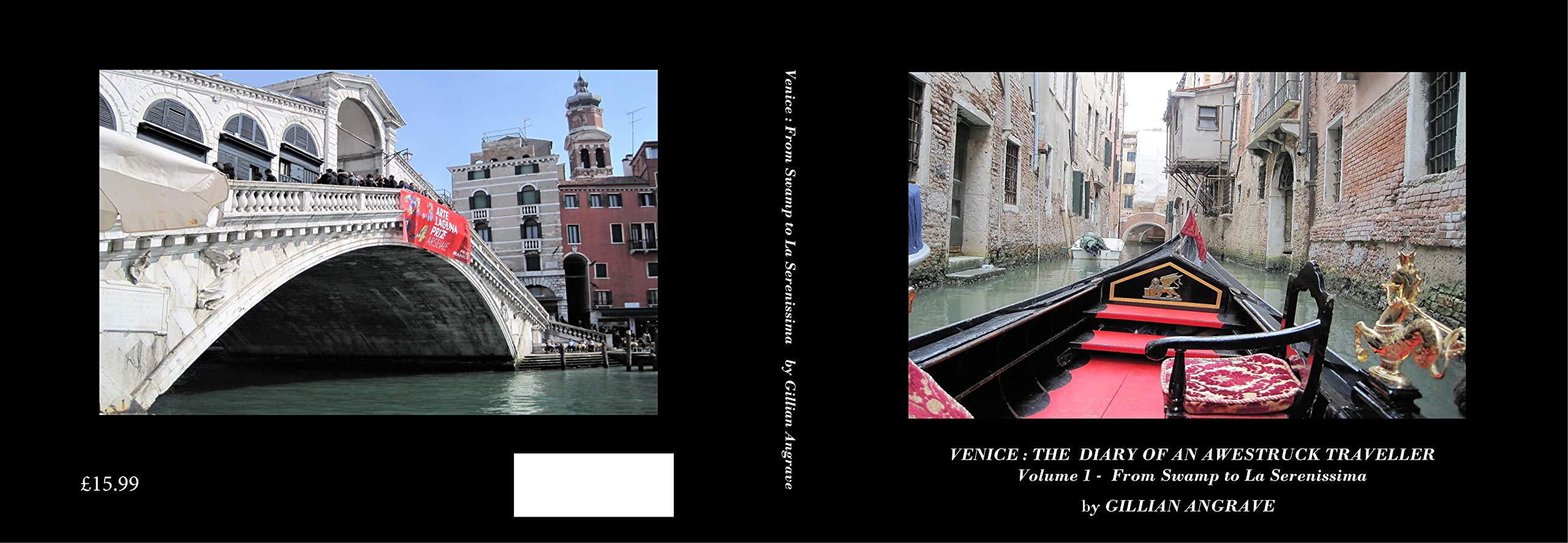 Venice: The Diary of an Awestruck Traveller: Volume 1: From Swamp to La Serenissima Home & Household