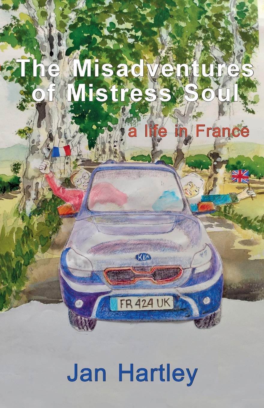 The Misadventures of Mistress Soul book