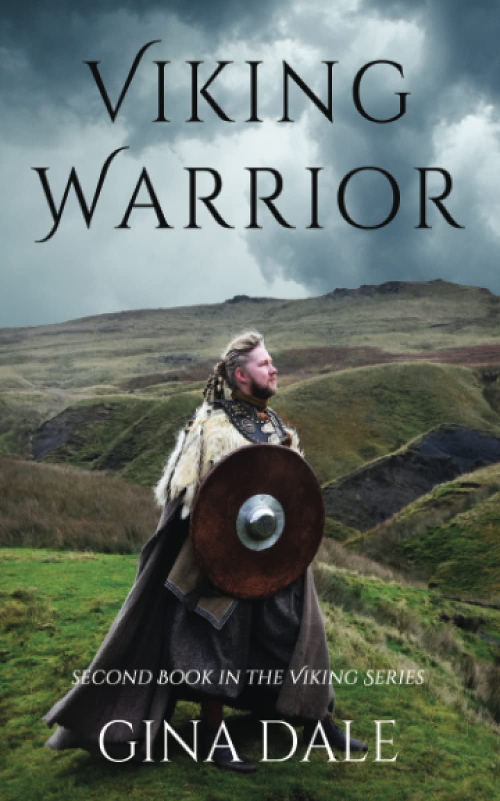 Viking Warrior Historical Fiction