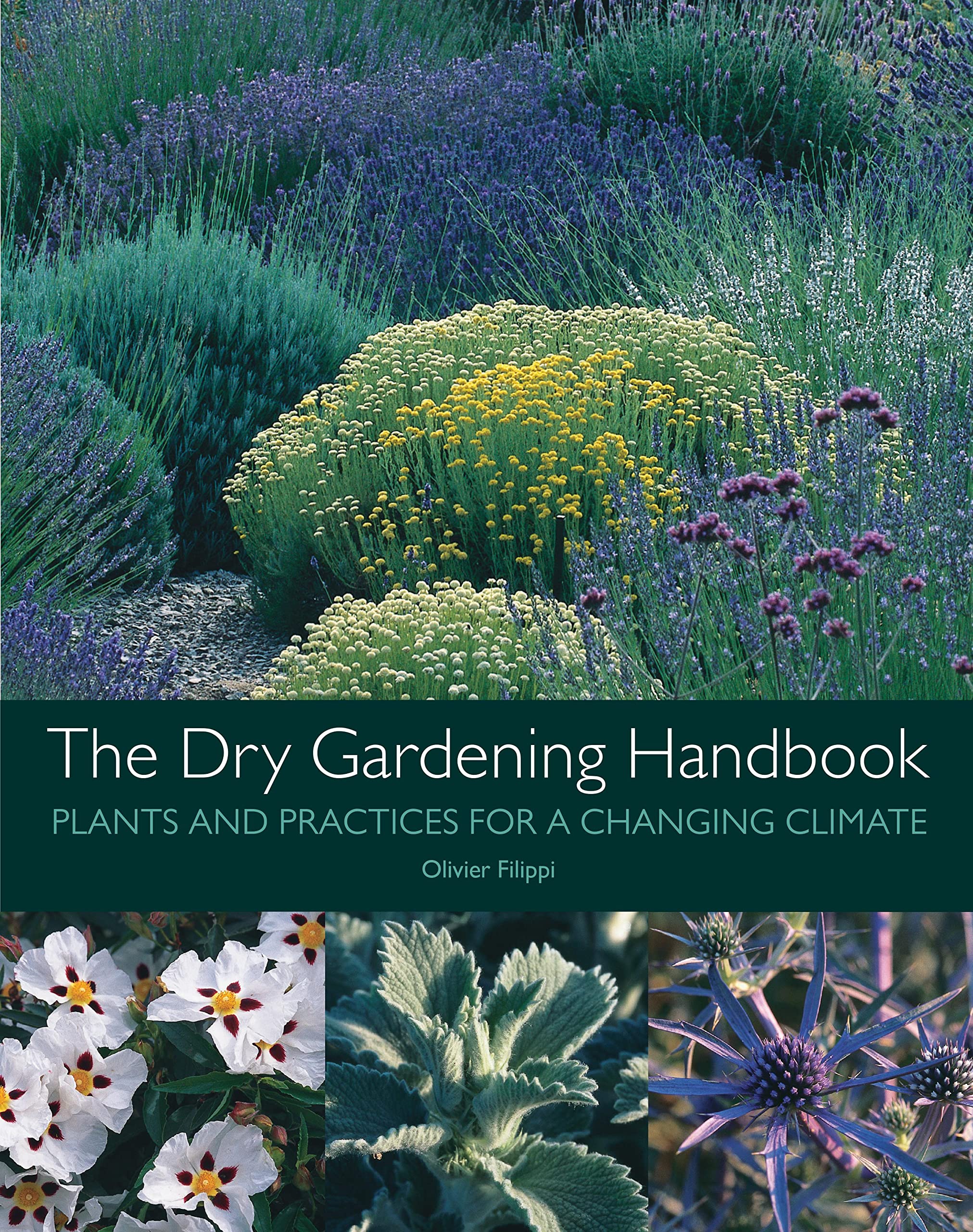 The Dry Gardening Handbook Mathematics