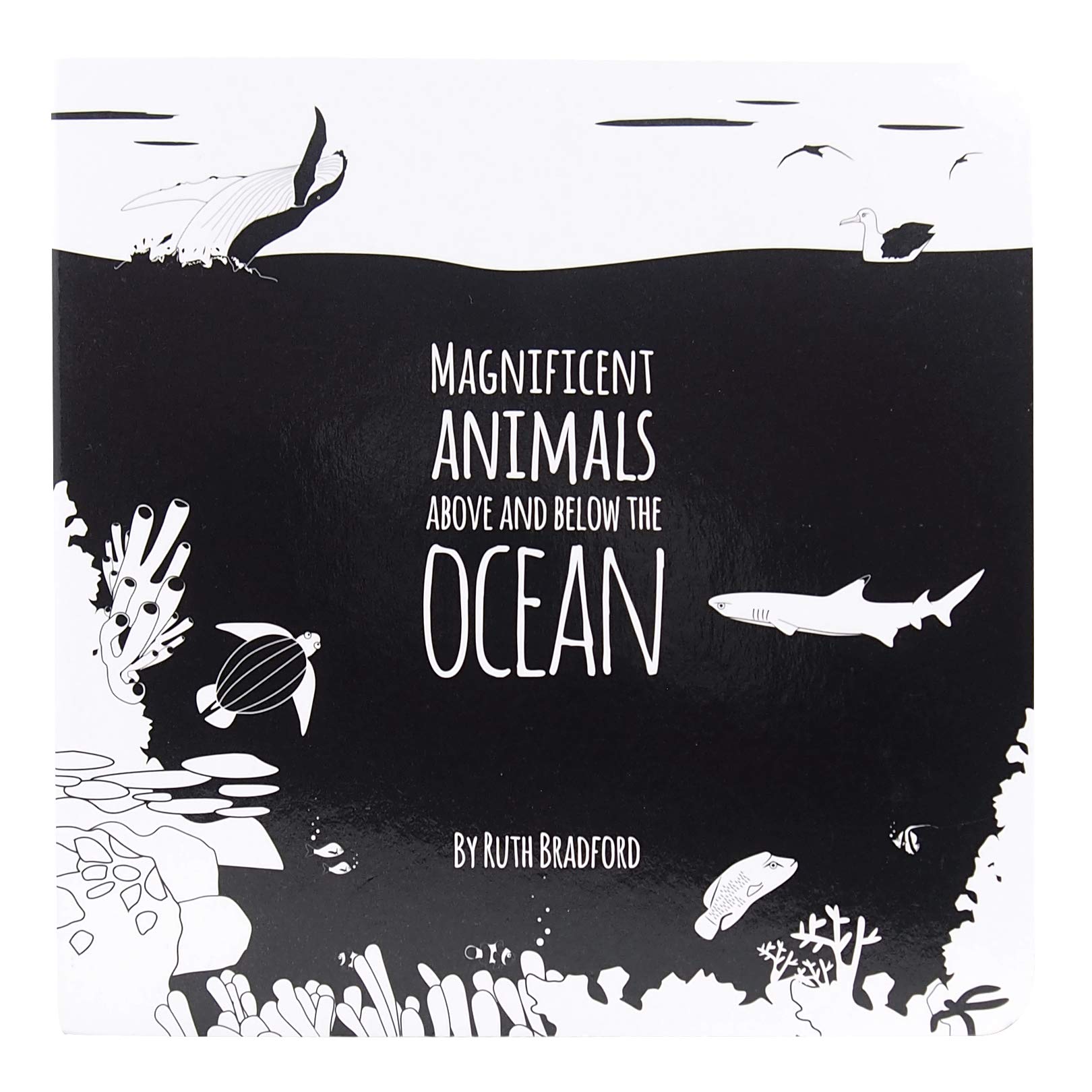 Magnificent Animals from Above and Below the Ocean: The Little Black & White Book Project book