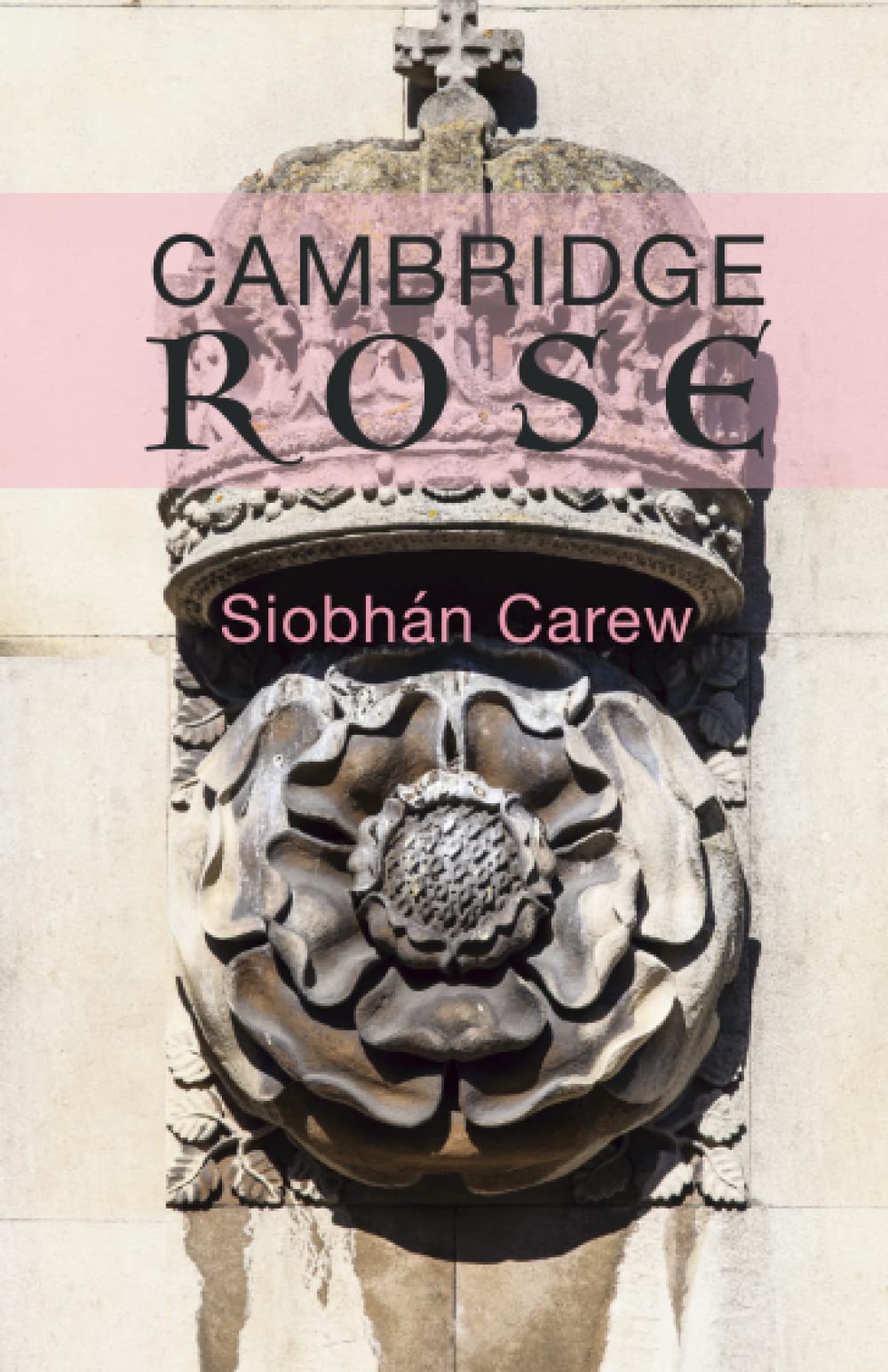Cambridge Rose (Cambridge Crime Series, Band 3) Crime & Thrillers