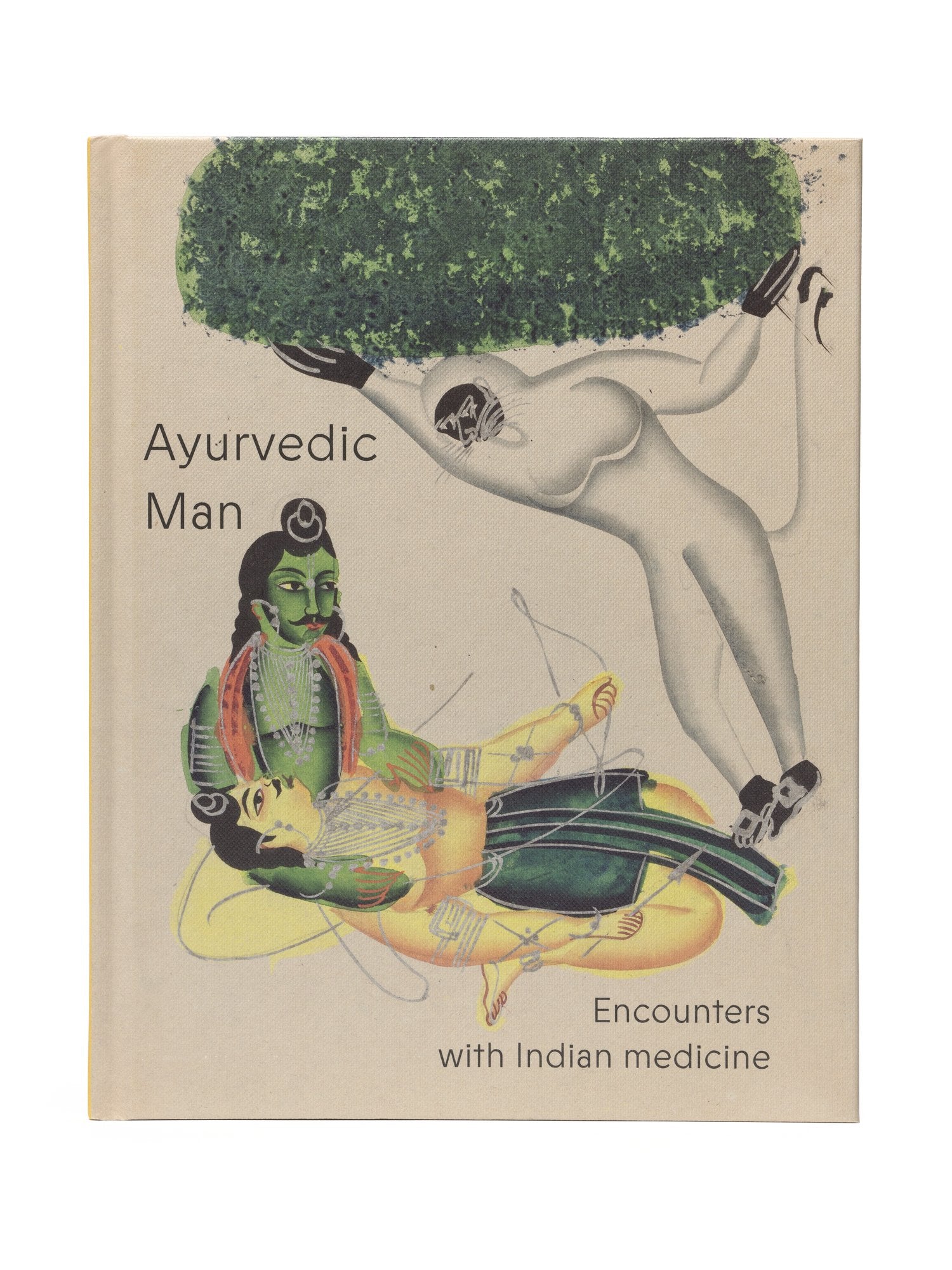 Ayurvedic Man: Encounters with Indian medicine book