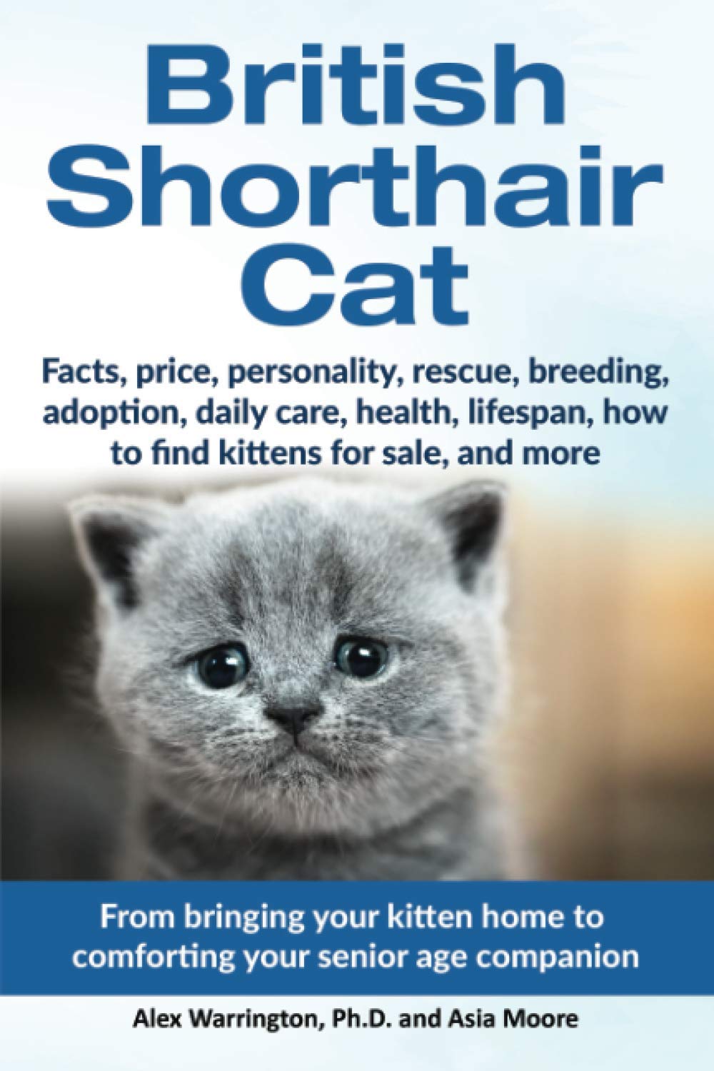 British Shorthair Cat: From bringing your kitten home to comforting your senior age companion book