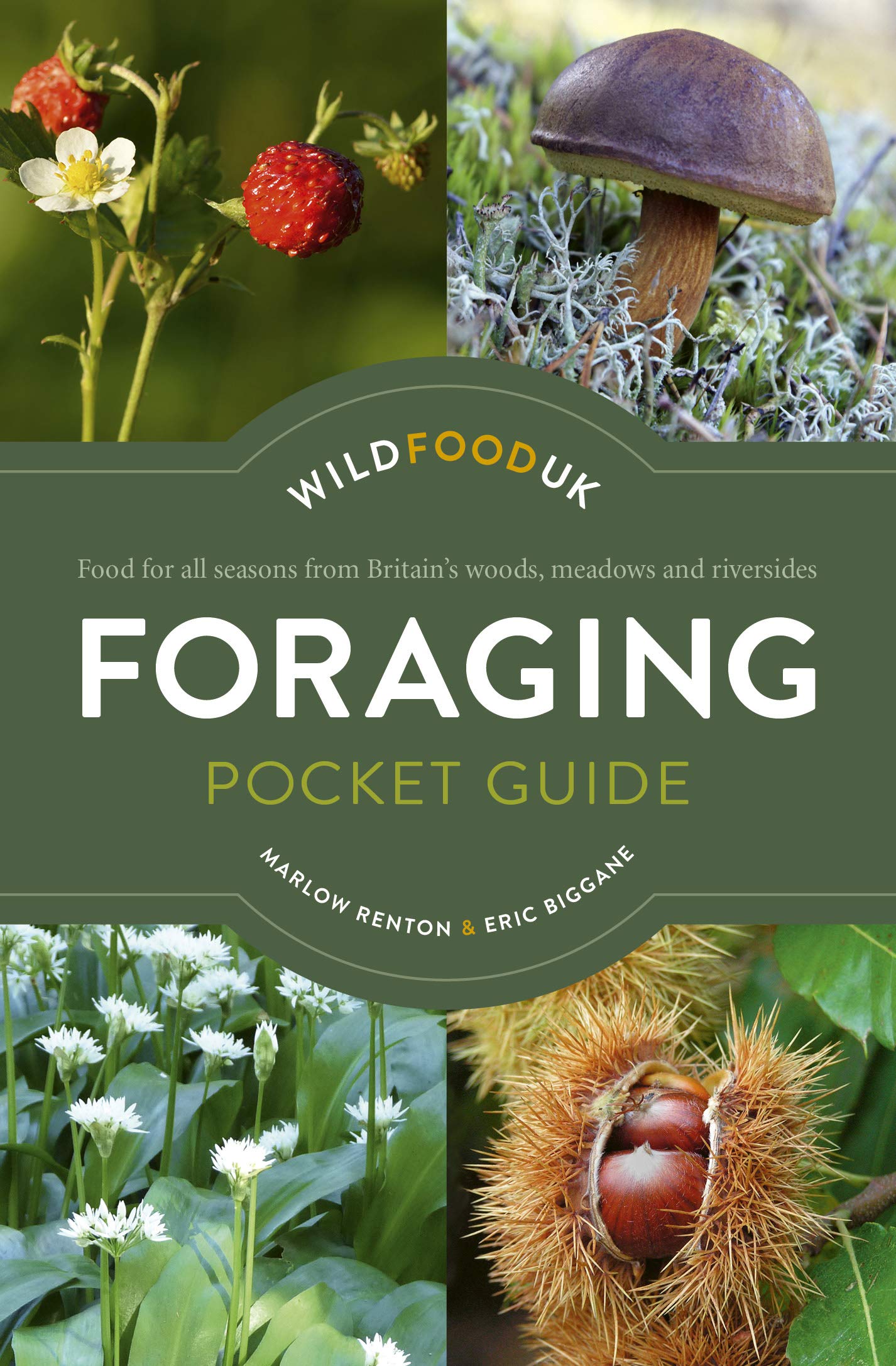 Foraging Pocket Guide: Food for all seasons from Britain's woods, meadows and riversides Garden & Plants
