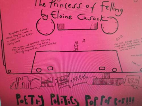 The Princess of Felling book