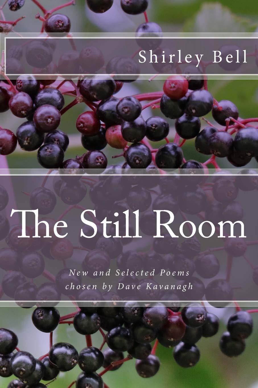 The Still Room: New and Selected Poems, Chosen by Dave Kavanagh Poetry