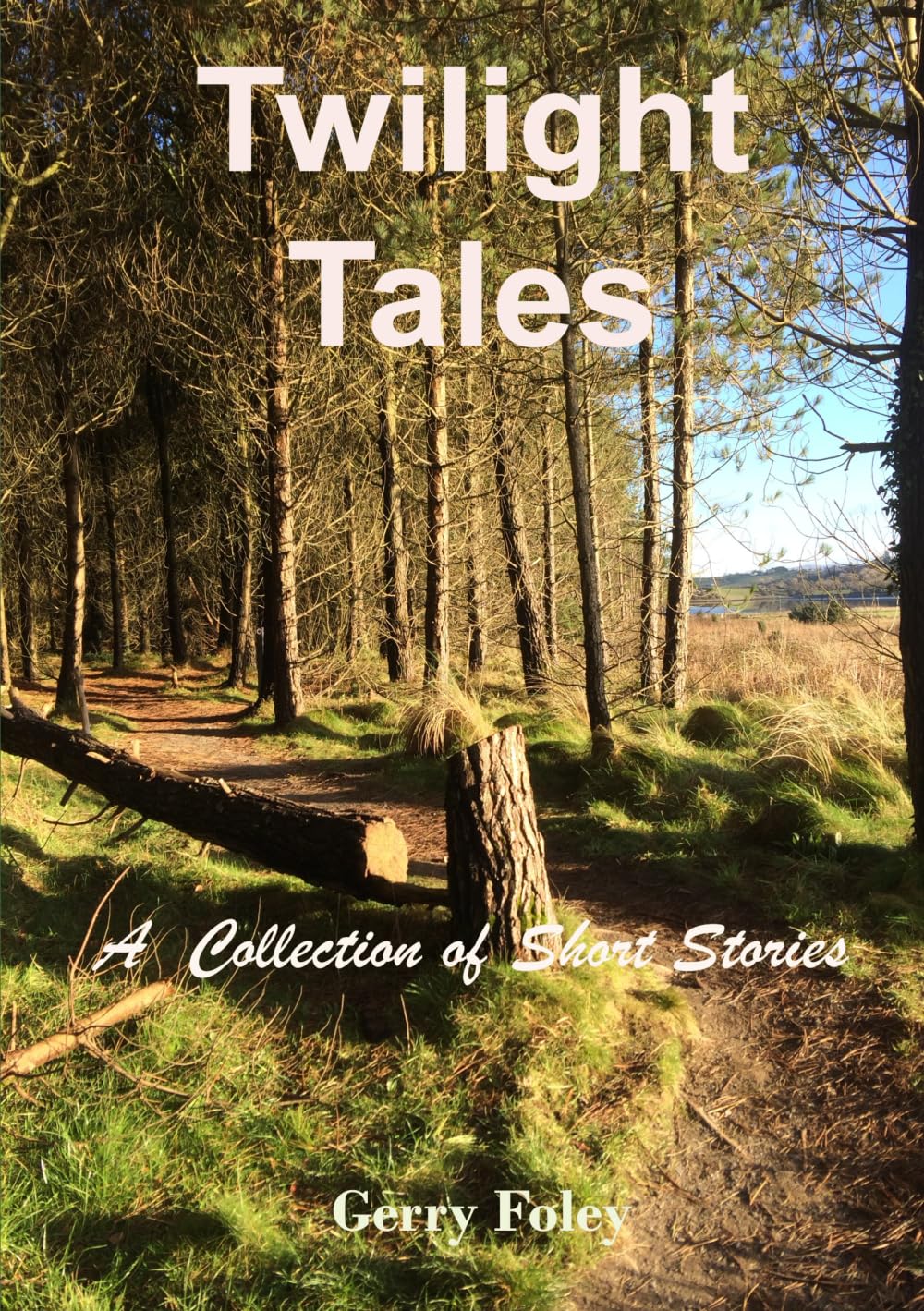 Twilight Tales: A Collection of Short Stories Classics