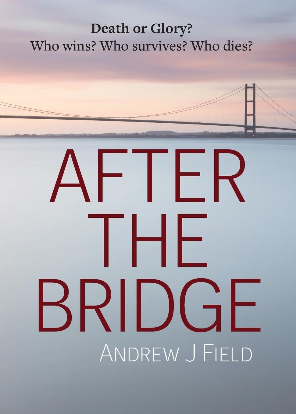 Product Image: After the Bridge